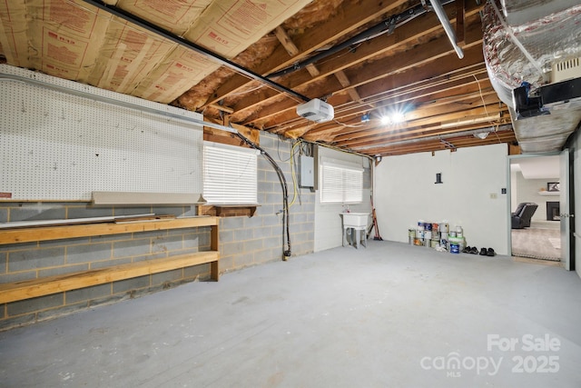 basement with electric panel