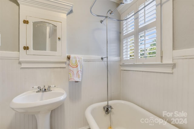 bathroom featuring a bath and sink