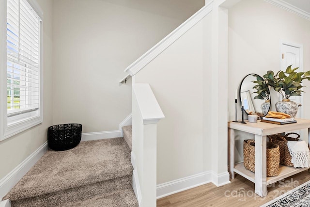 staircase featuring wood-type flooring and ornamental molding