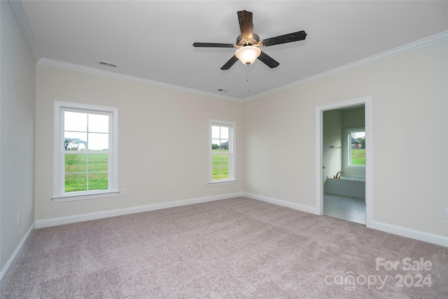 spare room with a wealth of natural light, light colored carpet, and crown molding