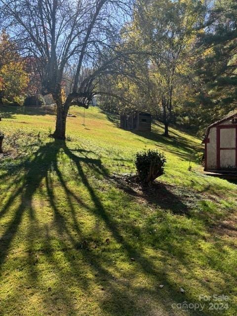 view of yard featuring a storage shed