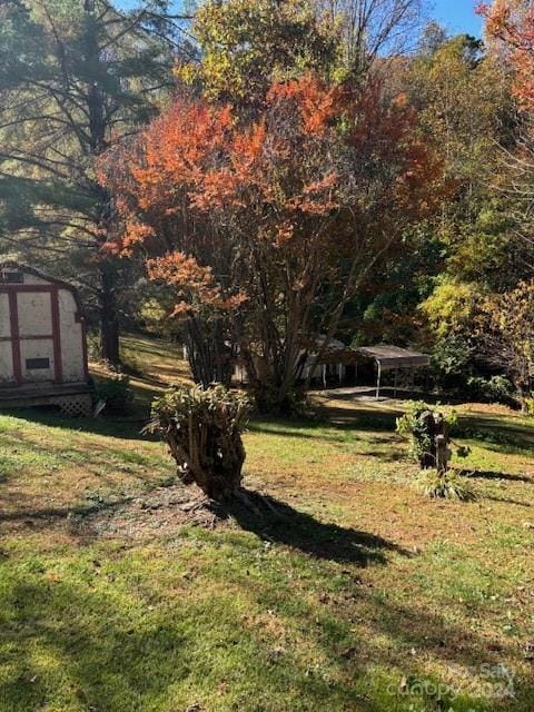 view of yard featuring a shed