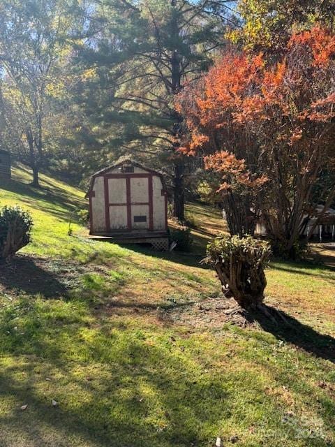 view of yard featuring a storage unit