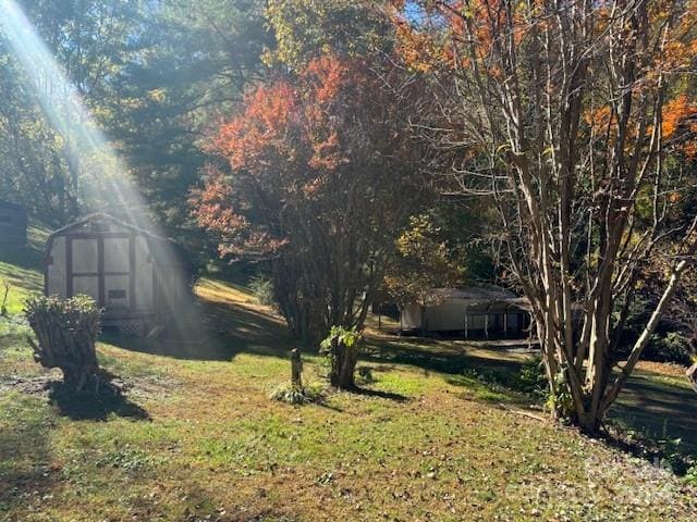 view of yard featuring a shed