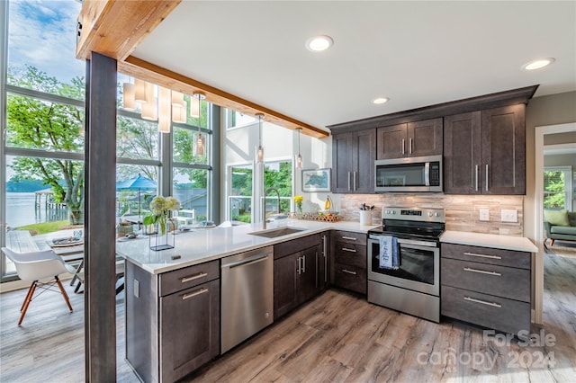 kitchen with decorative backsplash, light hardwood / wood-style flooring, dark brown cabinets, sink, and appliances with stainless steel finishes