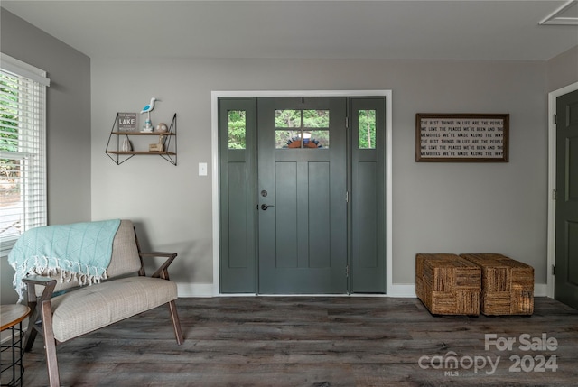 foyer with dark wood-type flooring