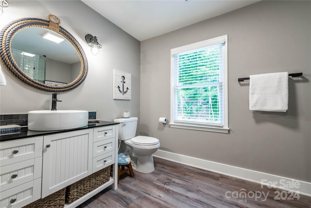 bathroom featuring toilet, vanity, and wood-type flooring