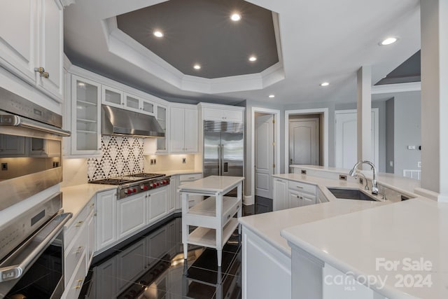 kitchen with appliances with stainless steel finishes, white cabinetry, sink, and a raised ceiling