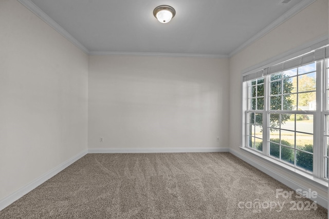 carpeted empty room with ornamental molding