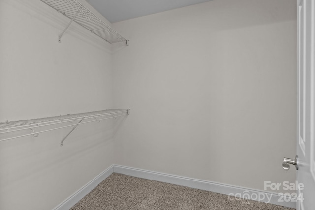 walk in closet featuring carpet