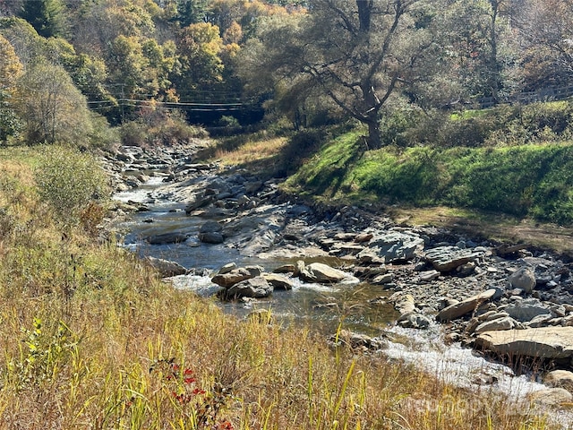 water view featuring a view of trees