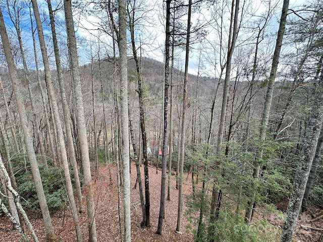 view of local wilderness featuring a forest view