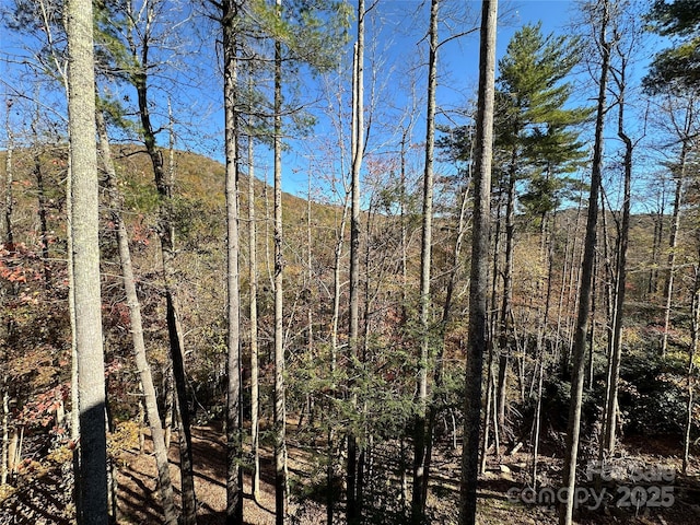 view of nature with a wooded view