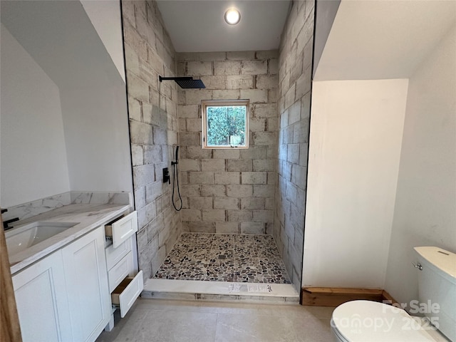 bathroom with vanity, a tile shower, and toilet