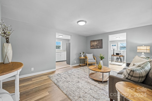 living room with a wealth of natural light and light wood-type flooring