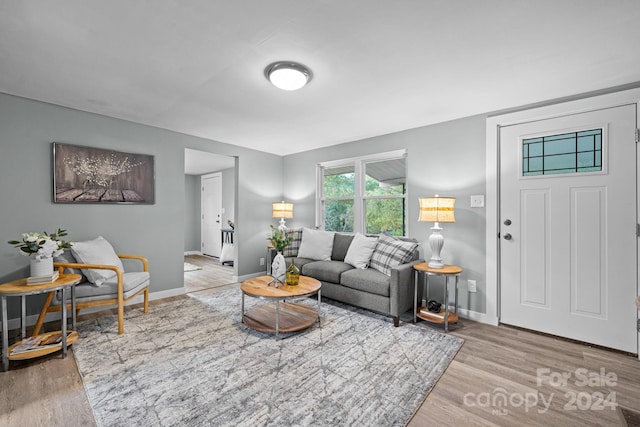 living room featuring light wood-type flooring