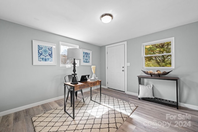 entryway with a wealth of natural light and light hardwood / wood-style floors