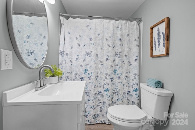 bathroom with vanity, curtained shower, and toilet