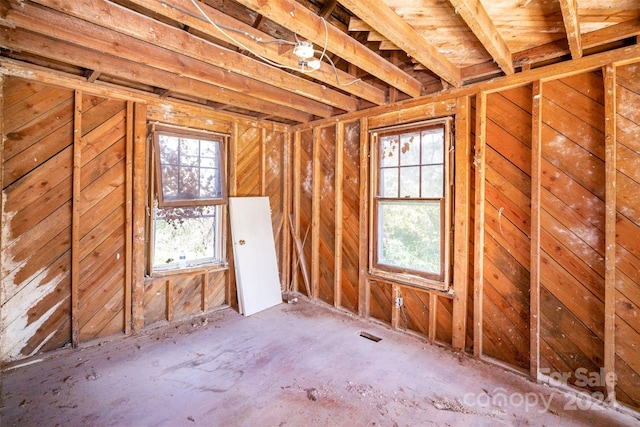 attic with plenty of natural light