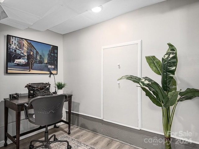 office area featuring hardwood / wood-style floors