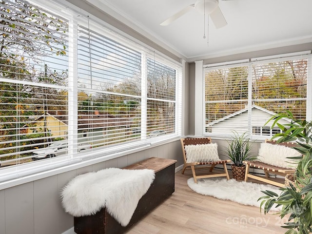 60 Fulton St, Asheville, NC 28801 - sunroom / solarium featuring ceiling fan