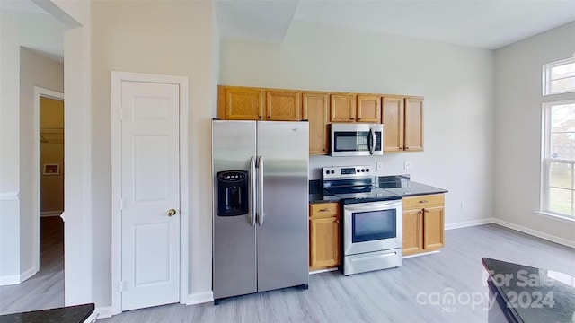 kitchen with a healthy amount of sunlight, light hardwood / wood-style flooring, and appliances with stainless steel finishes