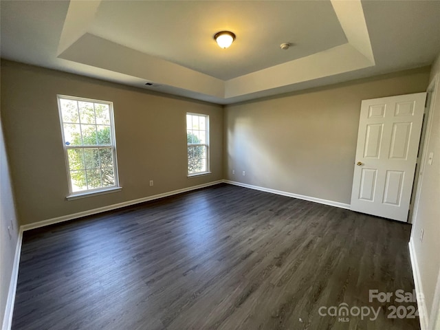 spare room featuring dark hardwood / wood-style floors, plenty of natural light, and a tray ceiling