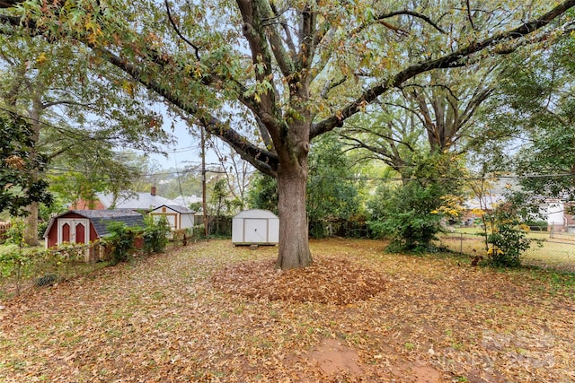 view of yard featuring a storage unit