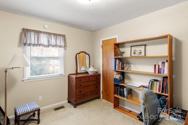 sitting room with a textured ceiling and light carpet