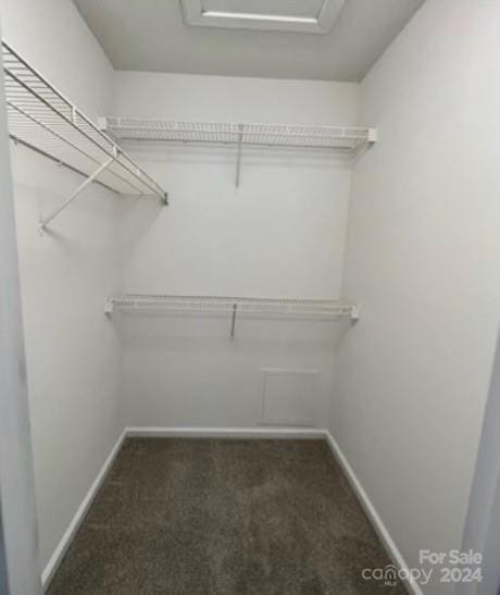 spacious closet with dark carpet