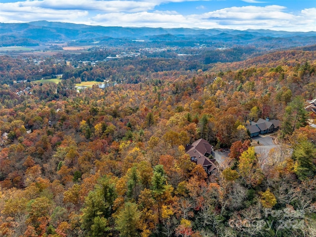 aerial view with a mountain view