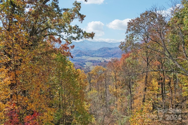 property view of mountains