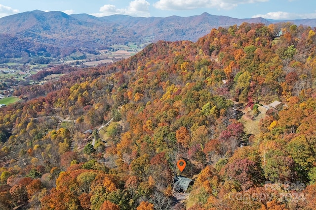 property view of mountains