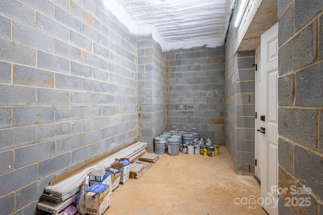 6630 Vesuvius Furnace Rd Unit 1, Denver, NC 28037 - basement with concrete block wall
