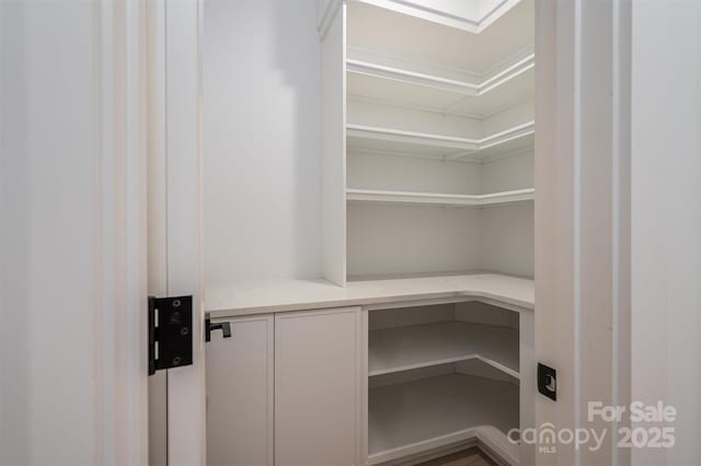 6630 Vesuvius Furnace Rd Unit 1, Denver, NC 28037 - view of storage area