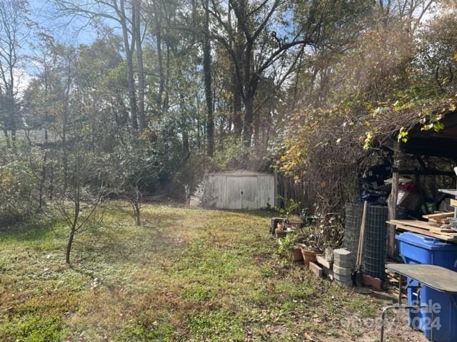 view of yard with a storage shed