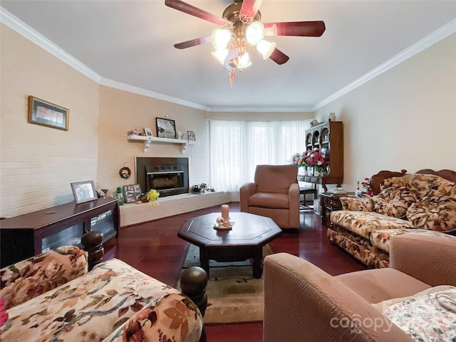 living room with dark wood-type flooring, ceiling fan, and ornamental molding