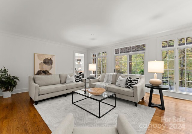 living room featuring ornamental molding and hardwood / wood-style floors