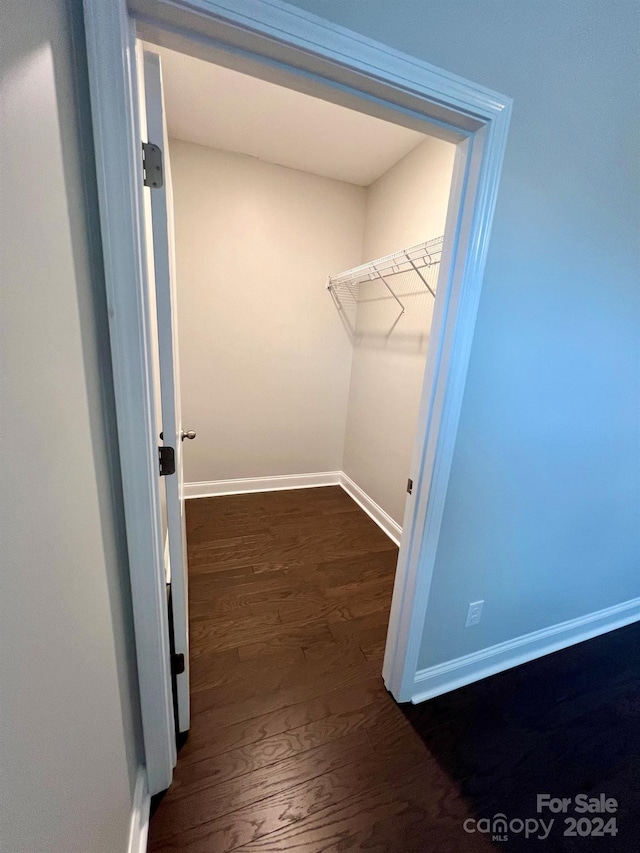 spacious closet featuring dark hardwood / wood-style floors