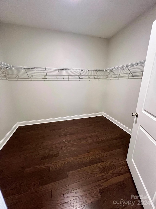 spacious closet with dark hardwood / wood-style floors