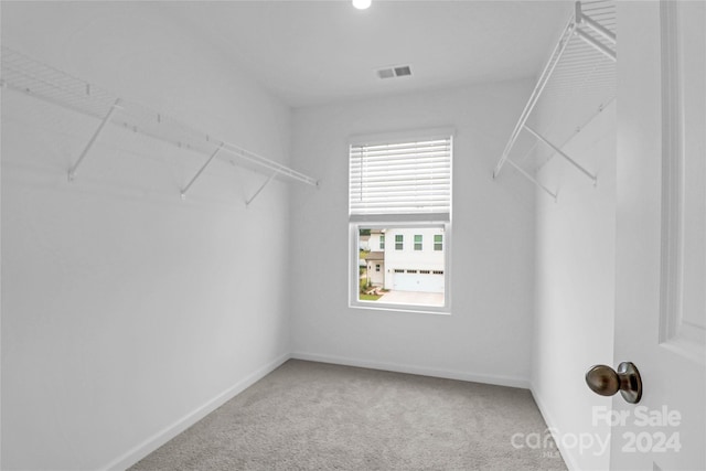 walk in closet with carpet floors