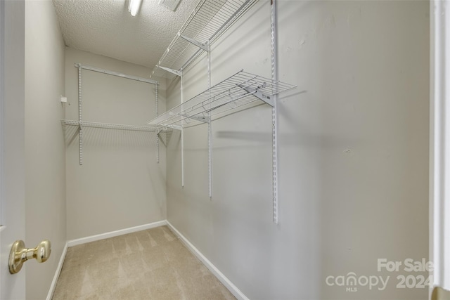 spacious closet with carpet floors