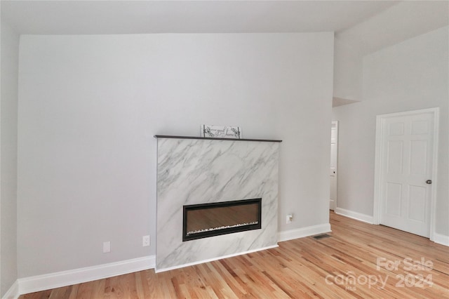 details featuring hardwood / wood-style floors and a premium fireplace