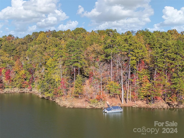 Listing photo 2 for 000 S Cove Rd Unit 17, Mill Spring NC 28756