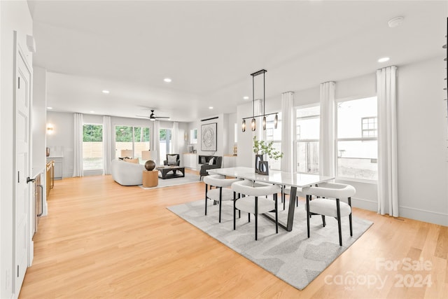 dining room featuring light hardwood / wood-style floors and ceiling fan