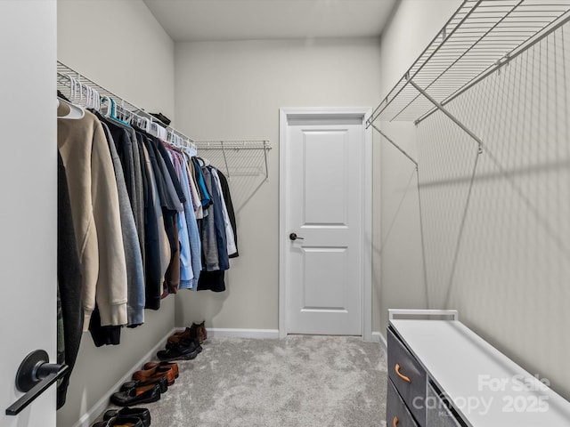 spacious closet with light carpet