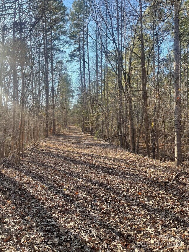 view of local wilderness