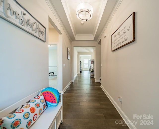 hall with crown molding, dark wood-type flooring, and a raised ceiling