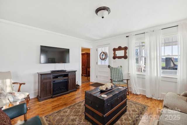 living room with light hardwood / wood-style flooring and crown molding