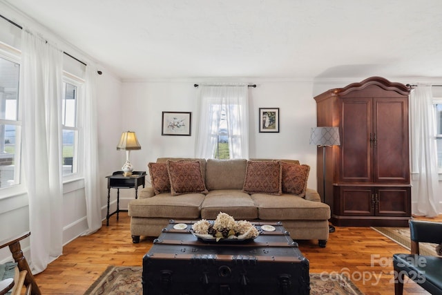 living room with light wood-type flooring and ornamental molding